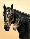 Standardbred, Equine Art - Princess and Prince